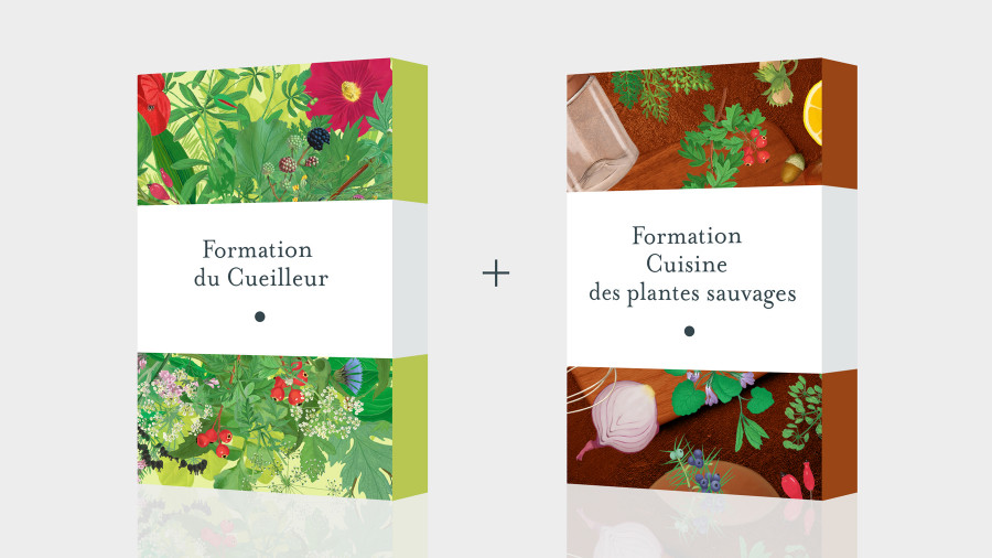 Pack Formation Cueilleur + Cuisine des Plantes Sauvages - Formation en ligne