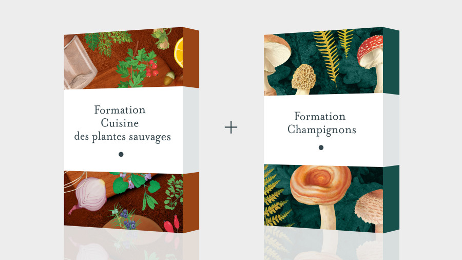 Pack Formation Cuisine des Plantes sauvages + Champignons - Formation en ligne