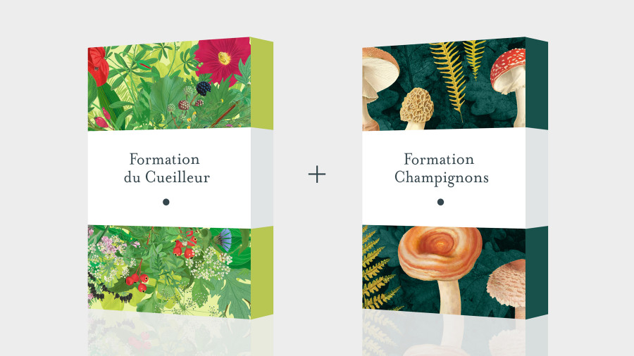 Pack Formation Cueilleur Plantes sauvages + Champignons - Formation en ligne