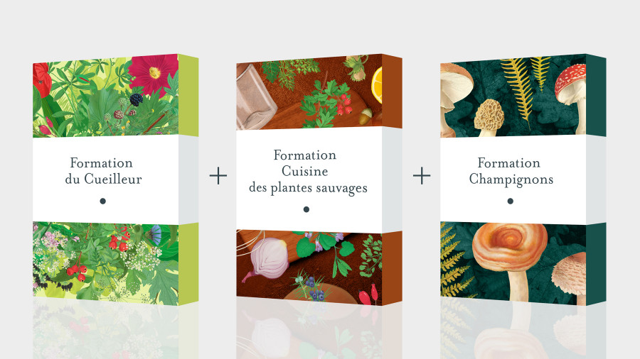 Pack Formation Cueillette et Cuisine sauvage : Plantes et Champignons - Formation en ligne