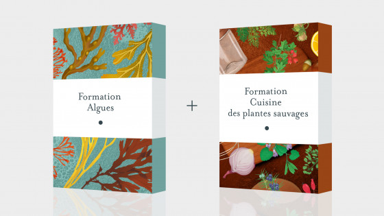 Pack Formation Algues et Formation Cuisine des plantes sauvages