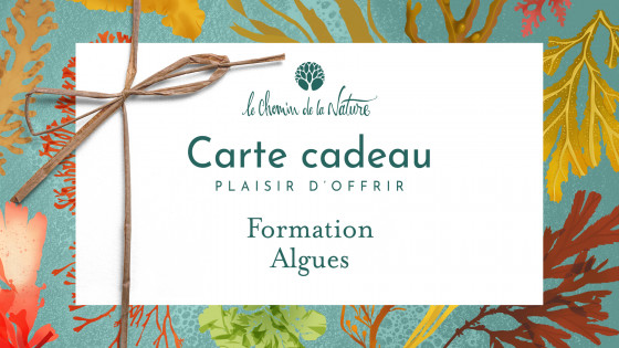 Carte cadeau • Formation Algues - Le Chemin de la Nature