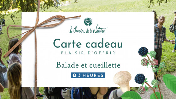 Carte cadeau • Promenade en Nature de 3h + Cueillette de Plantes sauvages