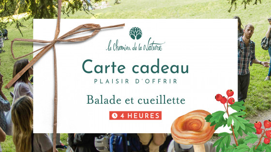 Carte cadeau • Sortie en Nature de 4h + Cueillette de Plantes sauvages