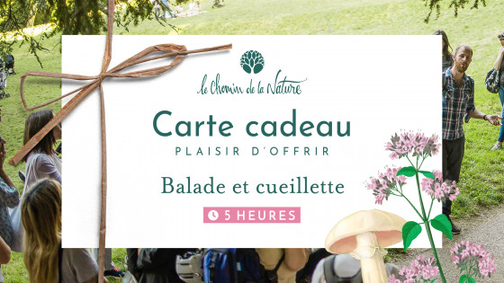 Carte cadeau • Excursion en Nature de 5h + Cueillette de Plantes sauvages