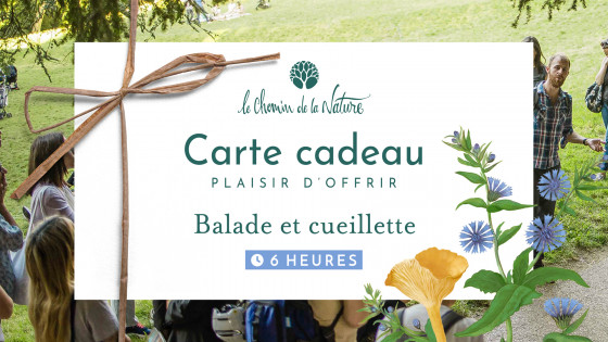 Carte cadeau • Randonnée en Nature de 6h + Cueillette de Plantes sauvages