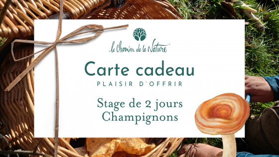 Carte cadeau • Stage 2 jours thème Champignon