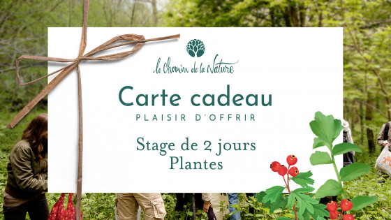 Carte cadeau • Stage 2 jours thème Plantes Sauvages