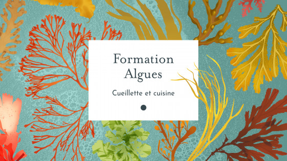 Formation algues