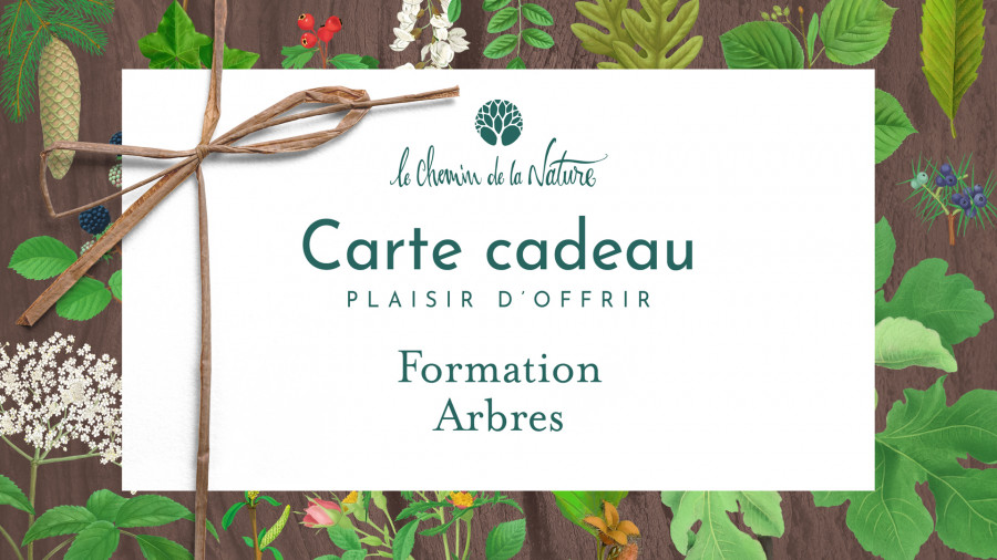 Carte cadeau • Formation Arbres et Cueillettes sauvage