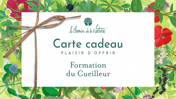 Carte cadeau • Formation du Cueilleur - Le Chemin de la Nature