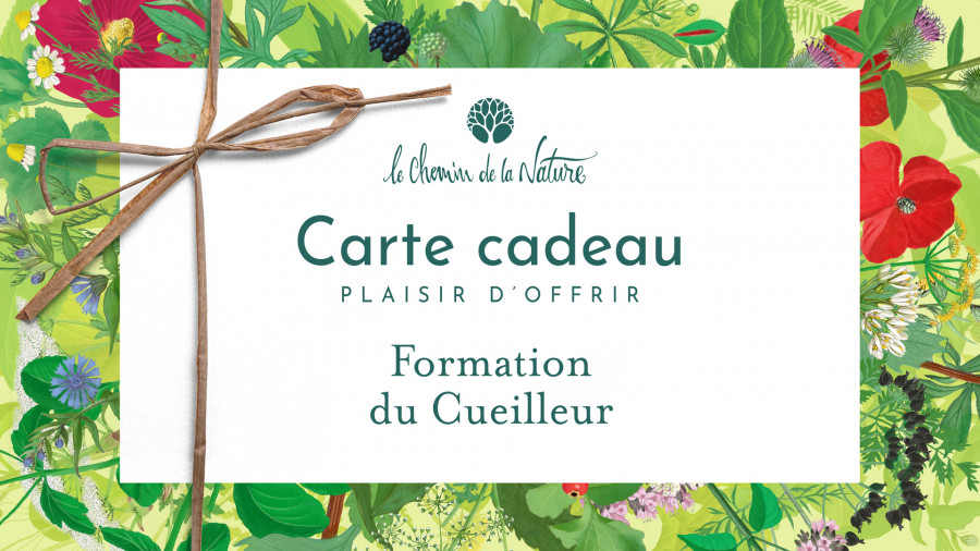 Carte cadeau • Formation du Cueilleur - Le Chemin de la Nature