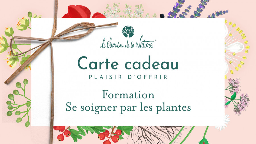 Carte cadeau • Formation Phytothérapie en ligne : Se soigner par les plantes