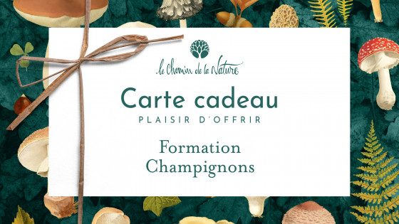 Carte cadeau • Formation Champignons en ligne : Reconnaître et Cueillir les Champignons