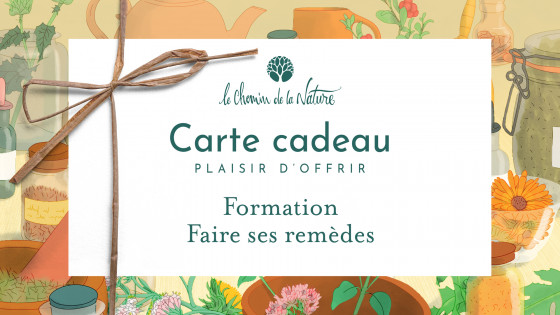 Carte cadeau • Formation Cuisine sauvage : Plantes et Champignons