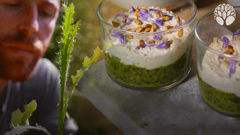 Recette de verrines aux "chardons" ou cirses