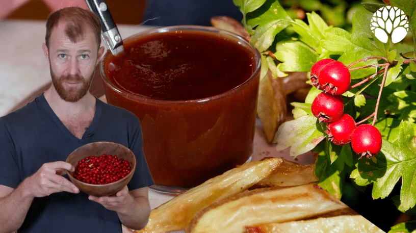 Recette du ketchup de cenelles, fruits de l'aubépine